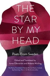 Book cover of The Star by My Head by Jonas Ellerström