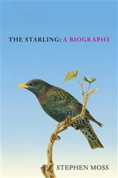 Book cover of The Starling by Stephen Moss