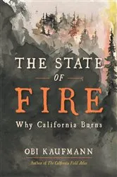 Book cover of The State of Fire by Obi Kaufmann