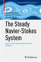 Book cover of The Steady Navier-Stokes System by Mikhail Korobkov