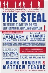 Book cover of The Steal by Rachel Shteir