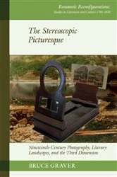 Book cover of The Stereoscopic Picturesque by Bruce Graver