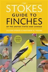 Book cover of The Stokes Guide to Finches of the United States and Canada by Lillian Q. Stokes