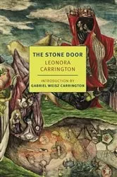Book cover of The Stone Door by Unknown