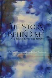 Book cover of The Storm Behind Me by Rory Piontkowski