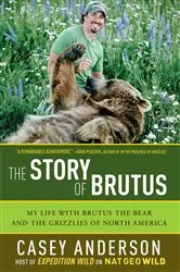 Book cover of The Story of Brutus by Unknown