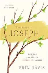 Book cover of The Story of Joseph by Bill Hickman