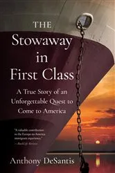 Book cover of The Stowaway in First Class by Unknown