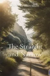 Book cover of The Straight and Narrow by Nelson Thornton