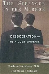 Book cover of The Stranger in the Mirror by Jane Shilling
