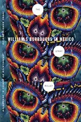 Book cover of The Stray Bullet by Jorge García-Robles