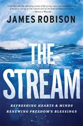Book cover of The Stream by James Robison