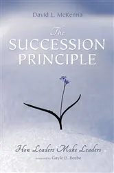 Book cover of The Succession Principle by David L. McKenna
