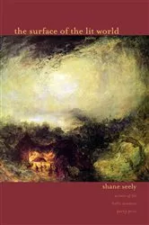 Book cover of The Surface of the Lit World by Shane Seely