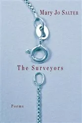 Book cover of The Surveyors by Mary Jo Salter