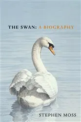 Book cover of The Swan by Stephen Moss