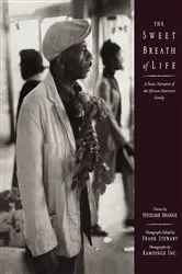 Book cover of The Sweet Breath of Life by Frank Stewart