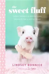 Book cover of The Sweet Fluff by Lindsey Bonnice