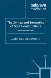 Book cover of The Syntax and Semantics of Split Constructions by Unknown