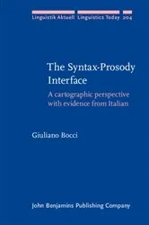 Book cover of The Syntax–Prosody Interface by Unknown