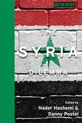 Book cover of The Syria Dilemma by Nader Hashemi