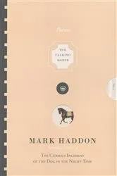 Book cover of The Talking Horse and the Sad Girl and the Village Under the Sea by Mark Haddon