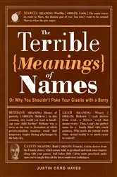 Book cover of The Terrible Meanings of Names by Justin Cord Hayes