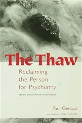 Book cover of The Thaw by Denis Kozlov