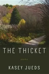 Book cover of The Thicket by CM Harris