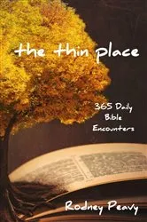 Book cover of The Thin Place by Unknown