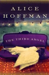 Book cover of The Third Angel by Alice Hoffman