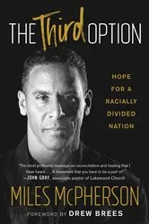 Book cover of The Third Option by Vince Flynn