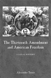 Book cover of The Thirteenth Amendment and American Freedom by Unknown