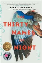 Book cover of The Thirty Names of Night by Zeyn Joukhadar