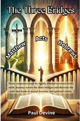 Book cover of The Three Bridges by Paul Devine