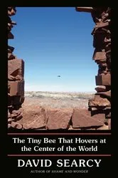 Book cover of The Tiny Bee That Hovers at the Center of the World by Unknown