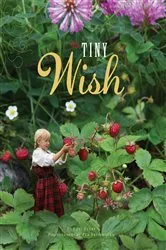Book cover of The Tiny Wish by Lori Evert