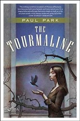 Book cover of The Tourmaline by Paul Park