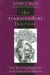 Book cover of The Transcendent Function by Jeffrey C. Miller
