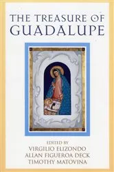 Book cover of The Treasure of Guadalupe by Timothy Matovina