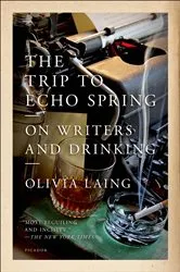 Book cover of The Trip to Echo Spring by Olivia Laing