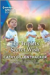 Book cover of The Triplets' Secret Wish by Unknown
