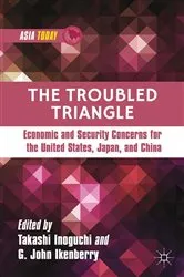 Book cover of The Troubled Triangle by T. Inoguchi