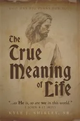 Book cover of The True Meaning of Life by Kyle J. Shirley