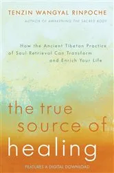 Book cover of The True Source of Healing by Tenzin Wangyal