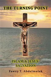 Book cover of The Turning Point by Julia Ash