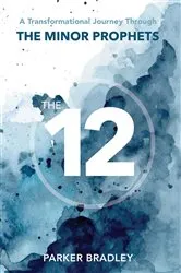 Book cover of The Twelve by Parker Bradley