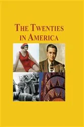 Book cover of The Twenties in America by Niall Palmer