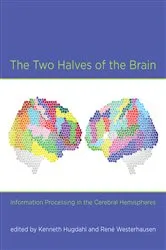 Book cover of The Two Halves of the Brain by Kenneth Hugdahl