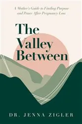 Book cover of The Valley Between by Unknown